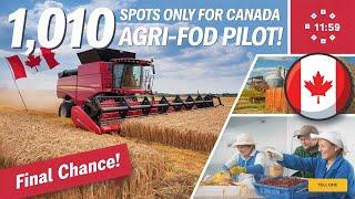 Canada Opens Doors to 1,010 New Agri-Food Pilot Applicants in 2025!