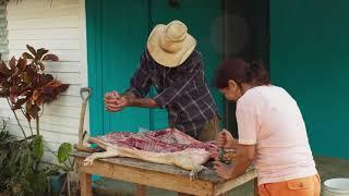 Cuban Food Stories - Trailer