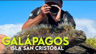 GALAPAGOS, San Cristobal Island