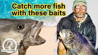 These baits will GUARANTEE you catch more fish!