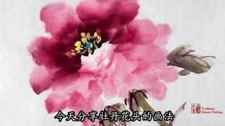 drawing of peony #1：牡丹画法   写意画 _ 国画 _ 手绘