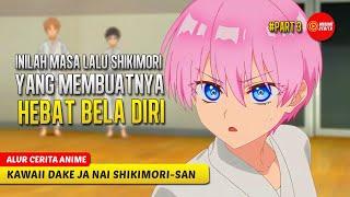 #3 DULU TOMBOY SEKARANG JADI GADIS IMUT & KEREN - ALUR CERITA ANIME KAWAII DAKE JA NAI SHIKIMORI-SAN