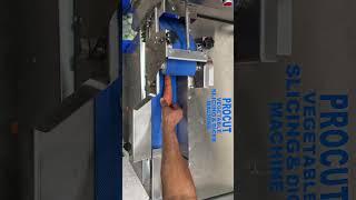 Vegetable Slicing Machine #vegetablecuttingmachine #vegetablechopper #vegetablecutter #saladcutting