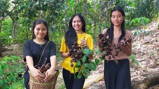 Gadis Dayak || Panen Jengkol untuk di Masak & di Jual