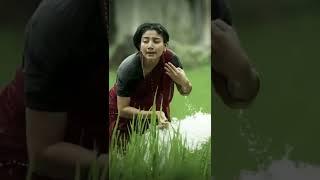 sai pallavi #shorts #ytshorts #saipallvi