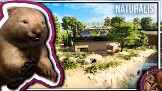 Building an Amazing Wombat Beach | Common Wombat Habitat | Planet Zoo Speedbuild | Naturalis Ep. 39