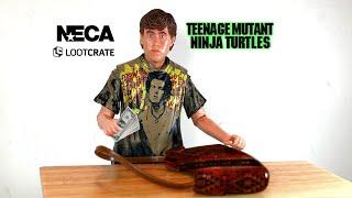 NECA TMNT Lootcrate Danny Pennington Review