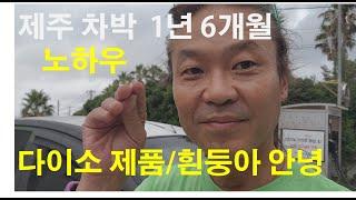 제주에서   경차 모닝 차박 1년 6개월 했어요 &   다이소와 그간 노하우 공개  ㅎㅎ