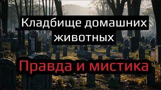 КЛАДБИЩЕ ДОМАШНИХ ЖИВОТНЫХ 🪦