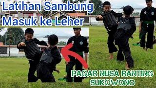 Latihan sambung Pagar Nusa Ranting Sukowono,