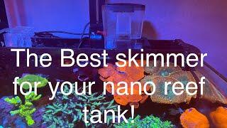 The BEST Protein Skimmer For a Nano Saltwater Reef Tank aquarium! Bubble Magus MiniQ skimmer review!
