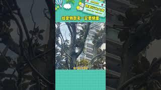 給寵物取名一定要慎重#寵物#寵物取名#娛樂評論大賞