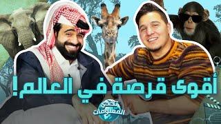 تحدي المعلومات - عجائب عالم الحيوان