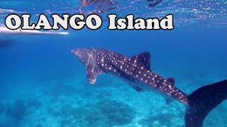 [GENNARO] OLANGO Island Diving 올랑고다이빙