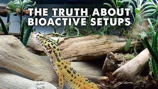 All About Bioactive Reptile Tanks - Lighting, Clean Up Crew & More!