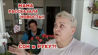 У МЕНЯ ВОЛОСЫ ДЫБОМ ВСТАЛИ- ОН ПРИШЕЛ ко МНЕ ПРОСИТЬ о ПОМОЩИ/ПОШЛА к ВРАЧУ - СКОРО ВСЕ УЗНАЕМ..