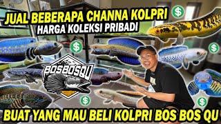 DIJUAL?? REVIEW HARGA CHANNA KOLEKSI PRIBADI BOS BOS QU