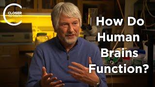 Christopher Evans - How do Human Brains Function?