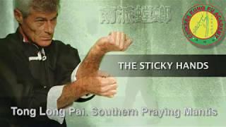 Tong Long Pai Kung Fu. Southern Praying Mantis