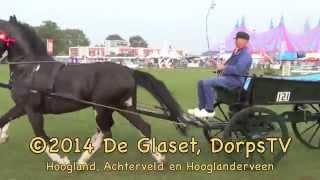 DORPSFEEST HOOGLAND ZATERDAG