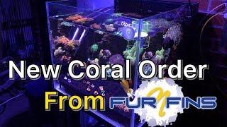 New Coral Shipped by Fur n Fins!