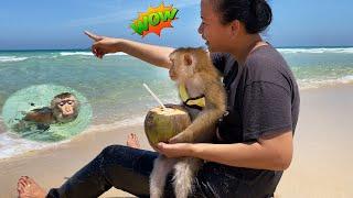 The picnic journey of monkey Lyly and her mother has some really interesting things