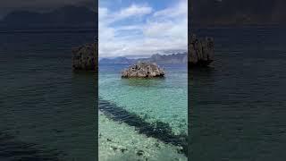 #shortvideo #nature #youtubeshorts #youtubevideo #youtube