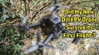 DJI FPV Drone Review - First Flight and Thoughts - Did it Survive?