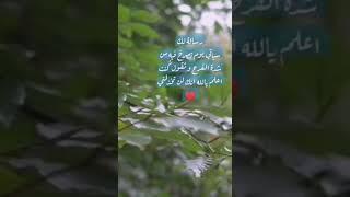 ٢٧ يوليو، ٢٠٢١