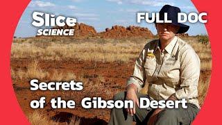 Exploring the Gibson Desert: Bush Blitz Expedition | SLICE SCIENCE | FULL DOC