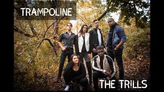 Trampoline (opb. SHAED)- The Trills