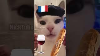 French Cat vs. Italian Cat 