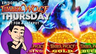 TIMBER WOLF THURSDAY!  [EP 01] QUEST FOR A JACKPOT! TIMBER WOLF TRIPLE POWER Slot Machine