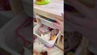 The most satisfying room to clean up  #cleanwithme #organization #playroom #toys