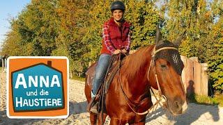 Reiten wie ein Cowgirl | Information für Kinder | Anna und die Haustiere