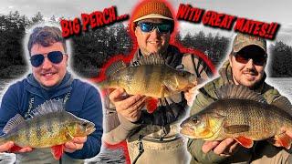 BIG Perch and Pike On Lures!! Two Venues In One Day!