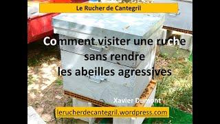 Comment visiter une ruche sans rendre les abeilles agressives