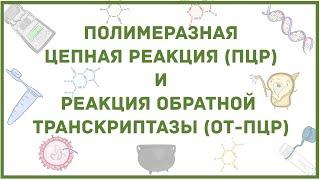 ПЦР -  диагностика вирусной инфекции, коронавируса - наглядное объяснение метода