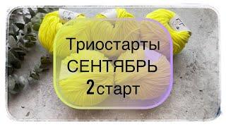 СП «Триостарты»  СЕНТЯБРЬ  2 старт #knitting #вязаниеспицами #вязание