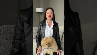 Кот писает мимо лотка, рядом с лотком, но только не в лоток. Почему? #ветеринарнаяклиника