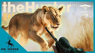 I Hunted EVERY LION in Vurhunga! | theHunter: Call of the Wild