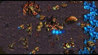 SSL MONSTERS! herO!  (Z) vs Mini!  (P) on Neo Sylphid - StarCraft - Brood War - REMASTERED