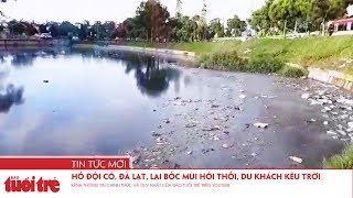 Hồ Đội Có, Đà Lạt, lại bốc mùi hôi thối kinh khủng, du khách kêu trời