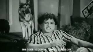 Mr Radha comedy WhatsApp status