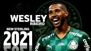 Wesley Ribeiro ● Goalls ● Driblling ● Assists ● Skills 2021 ● HD