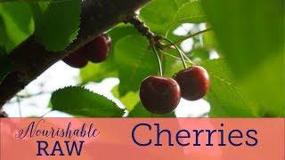 Pick Your Own Adventure Cherry Edition | Nourishable Raw Episode 20