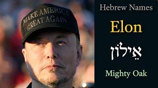 Elon (אֵילוֹן) -  The Meaning of the Hebrew Name Elon