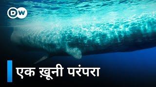 फ़ैरो आइलैंड्स में व्हेलों का शिकार [Whale hunting in the Faroe Islands] | DW Documentary हिन्दी