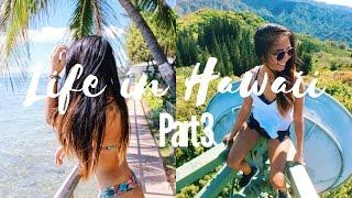 VLOG #3 | LIFE IN HAWAII | WEEKEND PART 3/3 | Michelle Kanemitsu