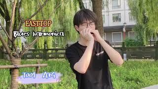 "Despacito" Play By Easttop T009 Professional Blues Harmonica